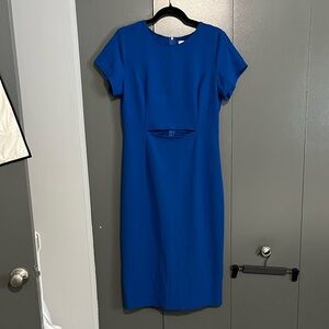 Babaton Aritzia Royal Blue Midi Dress